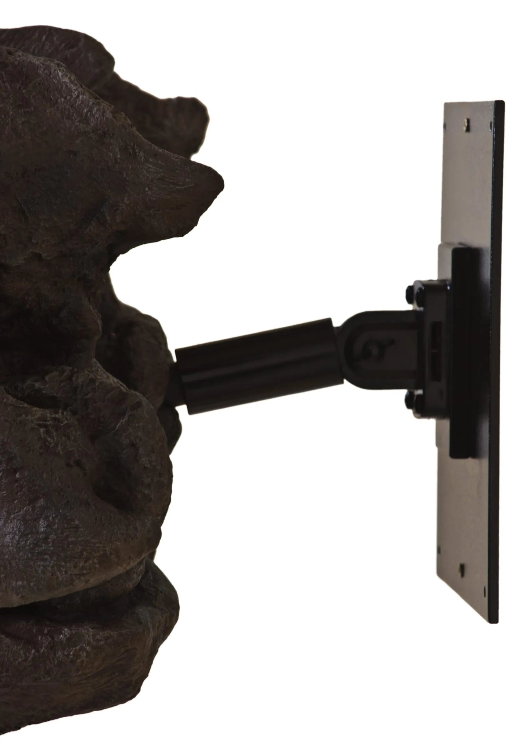 Archelon ischyros Skull with Wall Mount - Display Replica