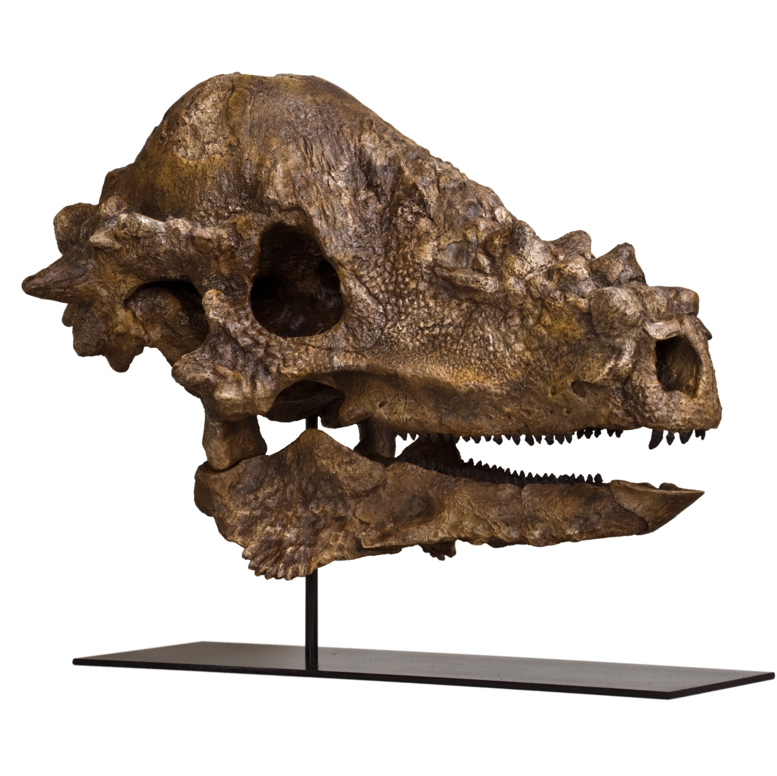 Ornithischians
