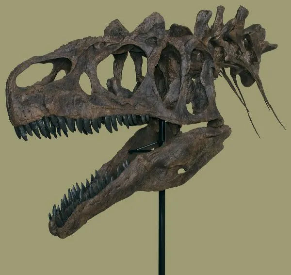 Theropods