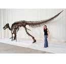Edmontosaurus annectens Adult Skeleton - Display Replica