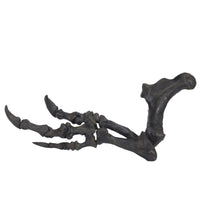 Acrocanthosaurus atokensis Right Arm - Display Replica