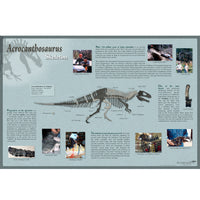 Acrocanthosaurus atokensis Skeleton Poster