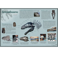 Acrocanthosaurus atokensis Skull Poster