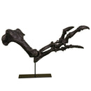 Acrocanthosaurus atokensis Right Arm on Base - Display Replica