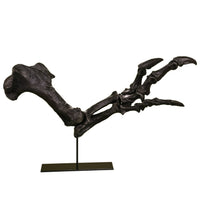 Acrocanthosaurus atokensis Right Arm on Base - Display Replica