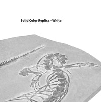 Aigialosaurus (Opetiosaurus) bucchichi Skeleton on Matrix - Solid Color Replica