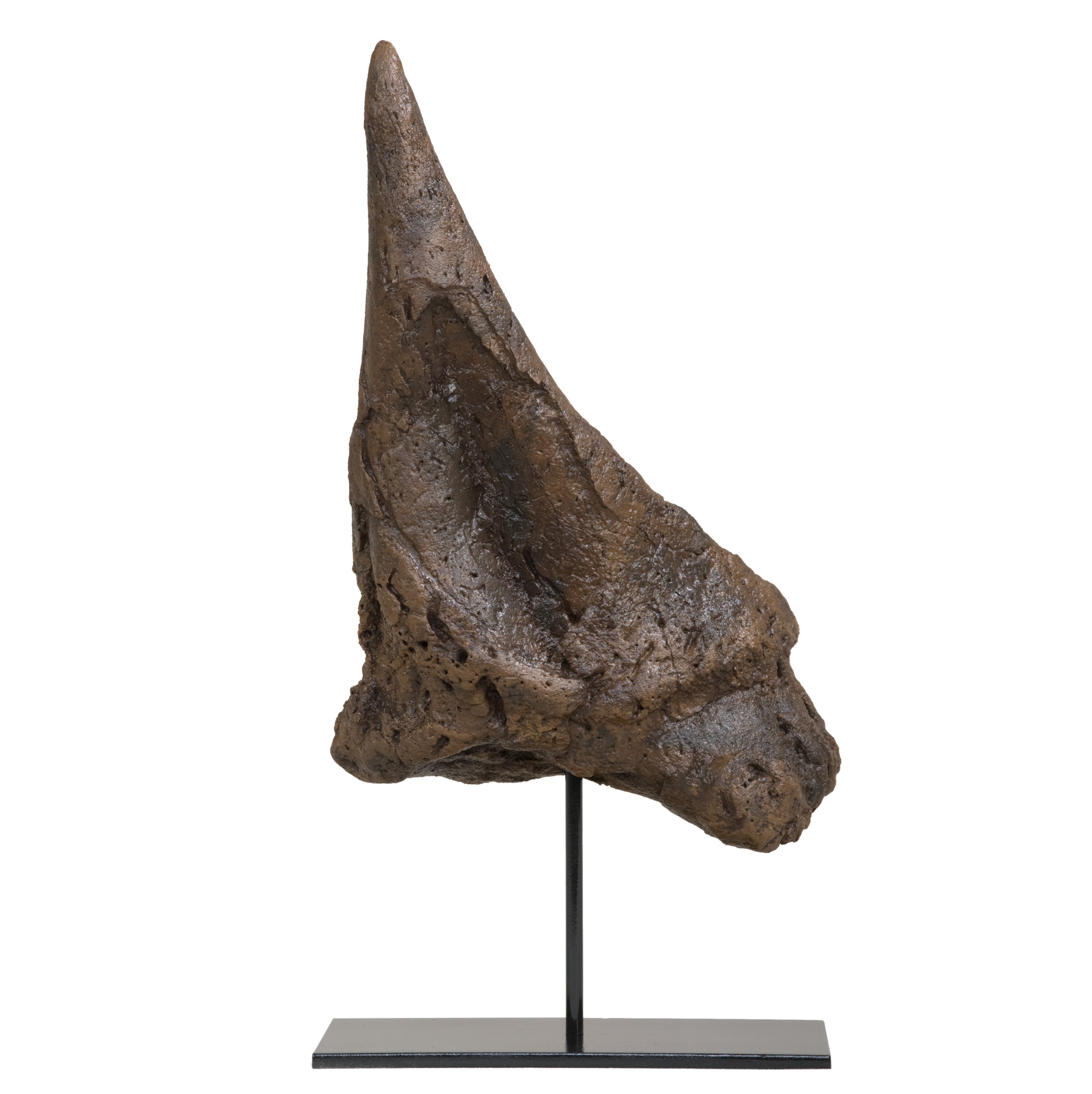 Ankylosaurus cf. magniventris Shoulder Spike - Display Replica On Base