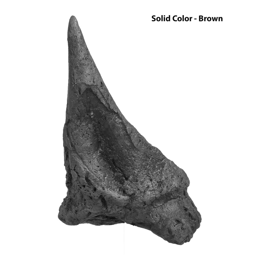 Ankylosaurus cf. magniventris Shoulder Spike - Solid Color Replica