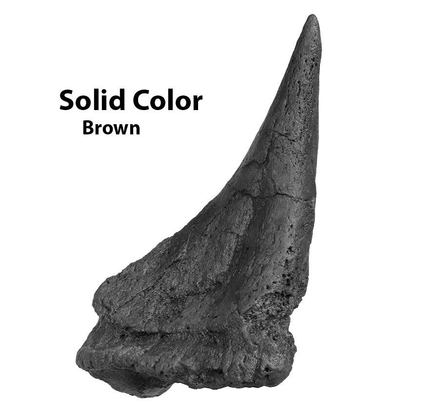 Ankylosaurus cf. magniventris Shoulder Spike - Solid Color Replica