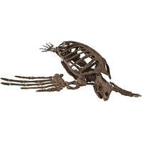 Archelon ischyros Skeleton with Floor Mount  - Display Replica