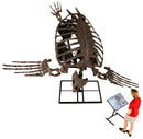 Archelon ischyros Skeleton with Floor Mount  - Display Replica