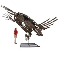 Archelon ischyros Skeleton with Floor Mount  - Display Replica