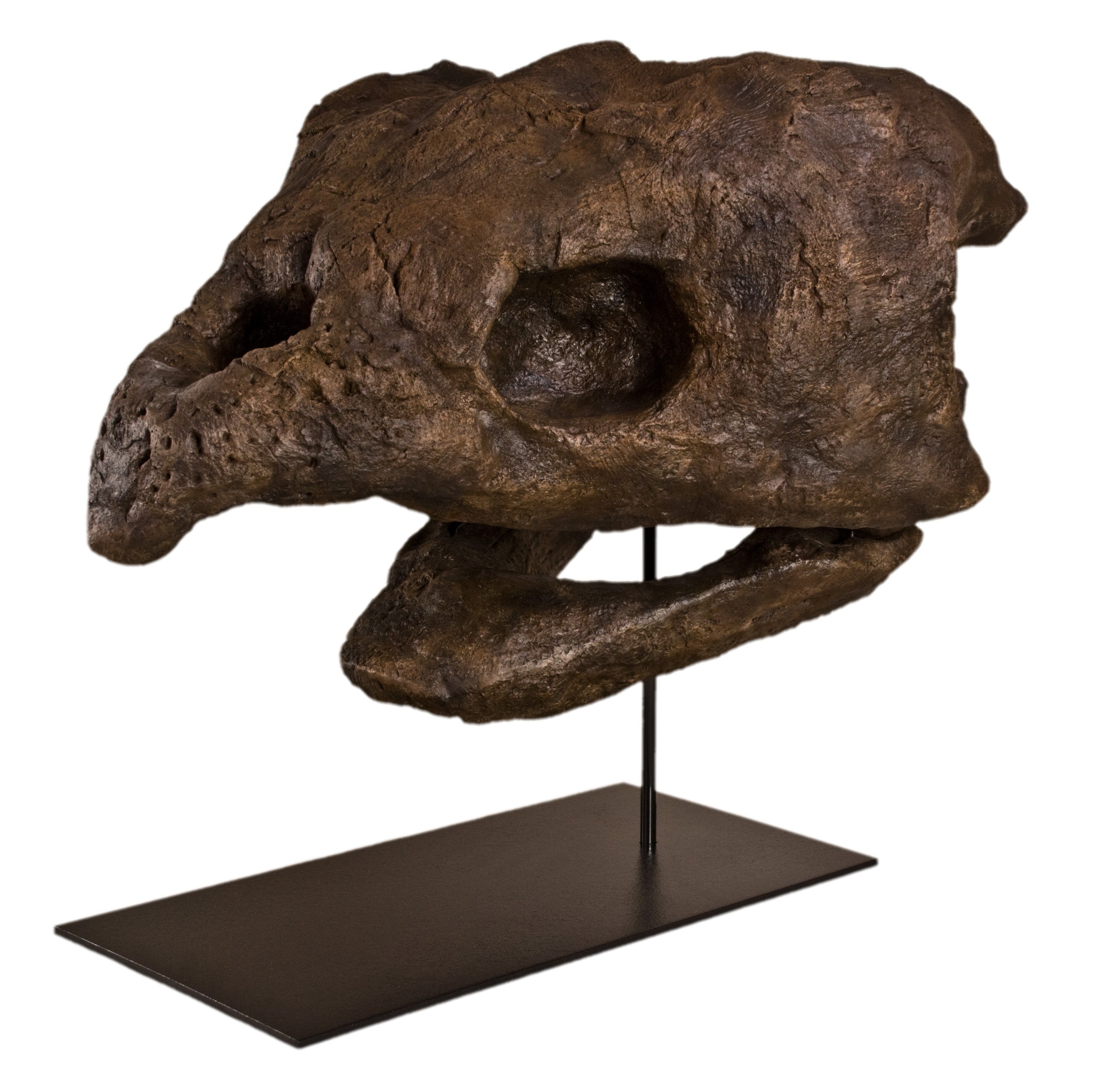 Archelon ischyros Skull on Base - Display Replica