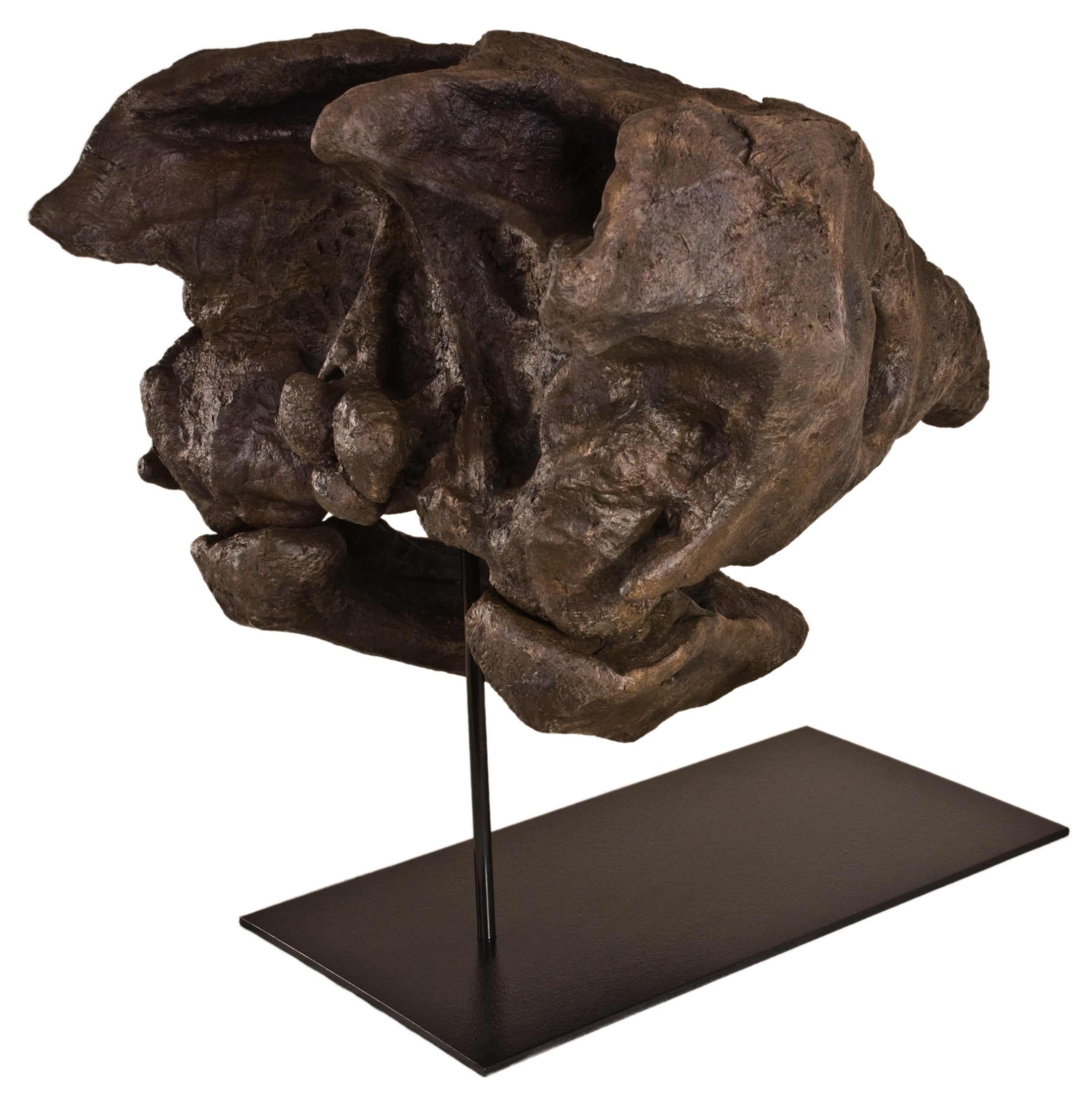 Archelon ischyros Skull on Base - Display Replica