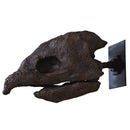 Archelon ischyros Skull with Wall Mount - Display Replica