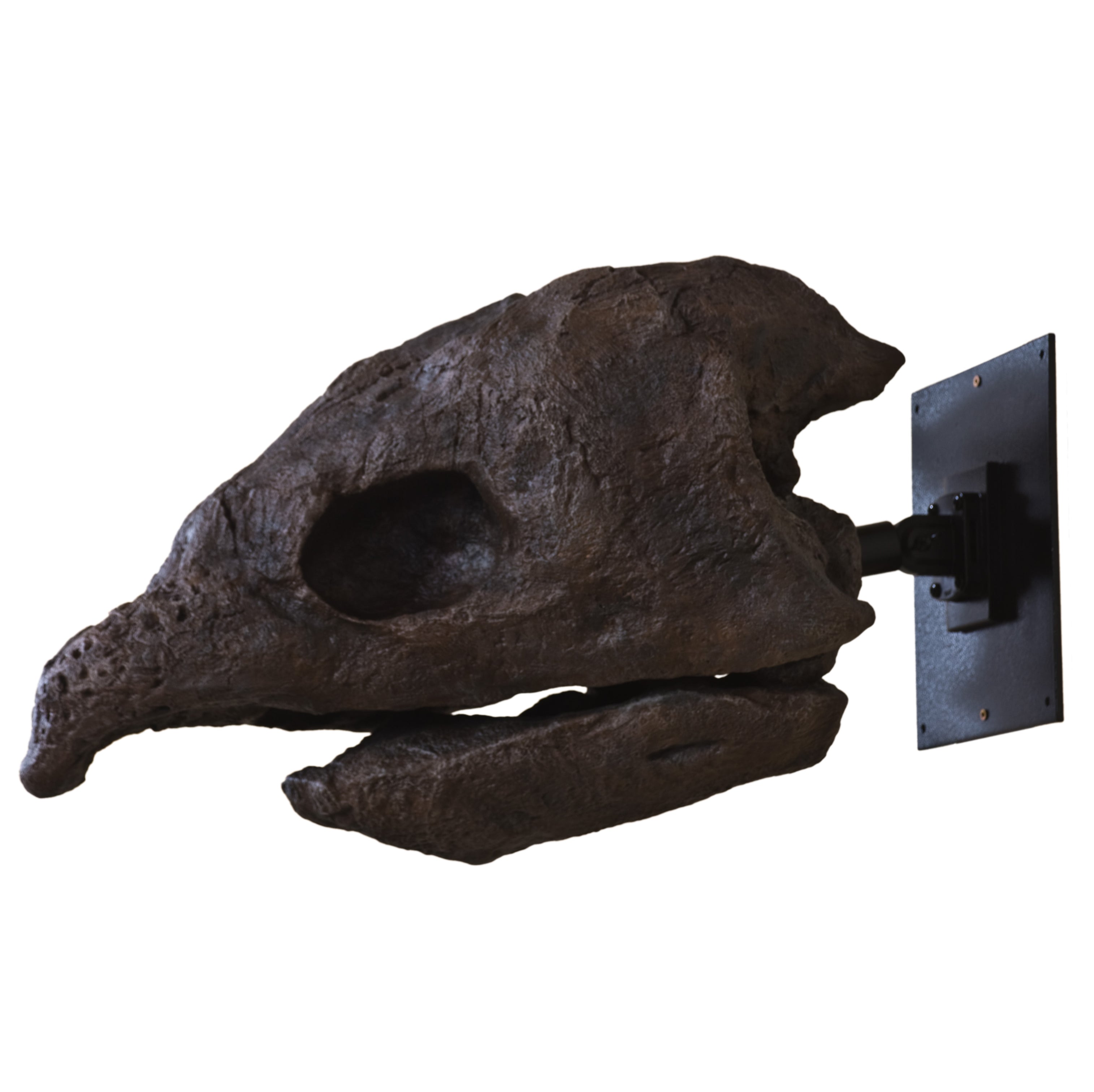 Archelon ischyros Skull with Wall Mount - Display Replica