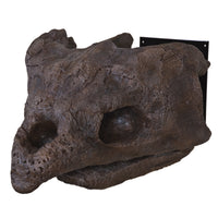 Archelon ischyros Skull with Wall Mount - Display Replica