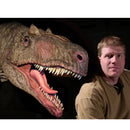 Allosaurus sp. BIG AL TWO Bust - Sculpture - Wall Mount