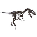 Allosaurus sp. BIG AL TWO Skeleton - Display Replica