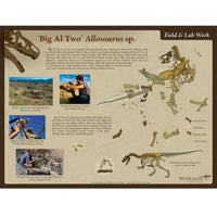 Allosaurus sp. BIG AL TWO Skeleton Field & Lab Poster