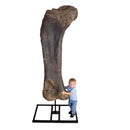 Brachiosaurus Femur - Display Replica on Steel Base