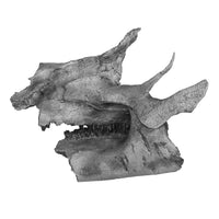 Brachylophosaurus canadensis CHEWY Partial Upper & Lower Skull - Solid Color Replica