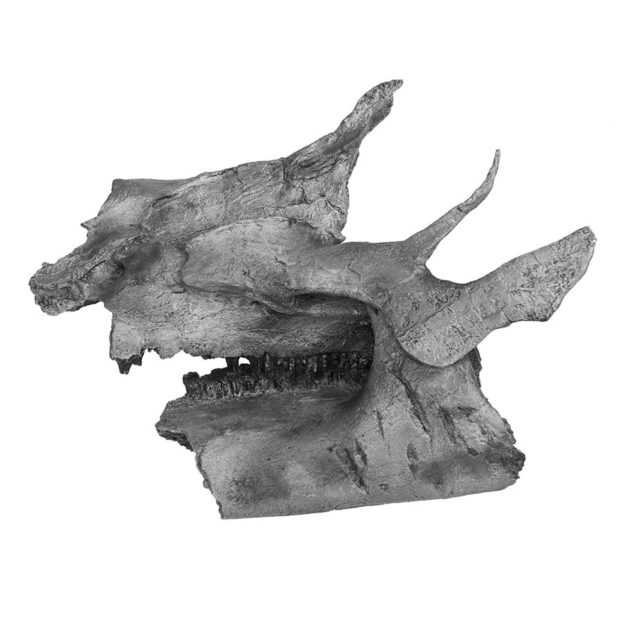 Brachylophosaurus canadensis CHEWY Partial Upper & Lower Skull - Solid Color Replica