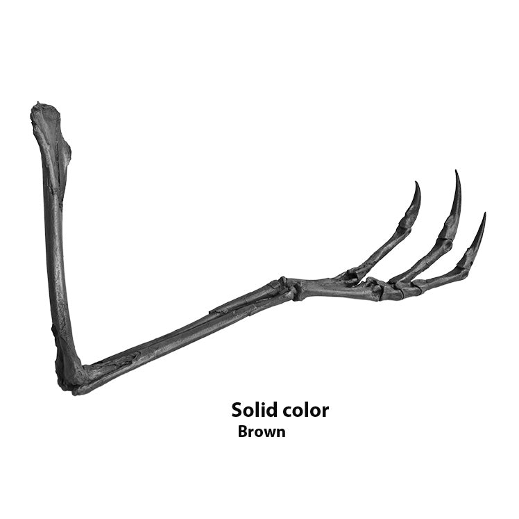 Struthiomimus sedens CLAWS Arm - Solid Color Replica