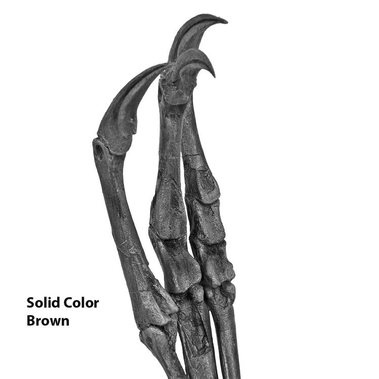 Struthiomimus sedens CLAWS Arm - Solid Color Replica