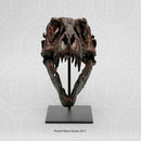STAN Tyrannosaurus rex®  1/6 Scale Skull with Stand- Display Replica