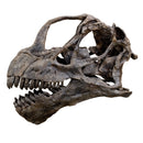 Camarasaurus sp. Skull ET - Display Replica