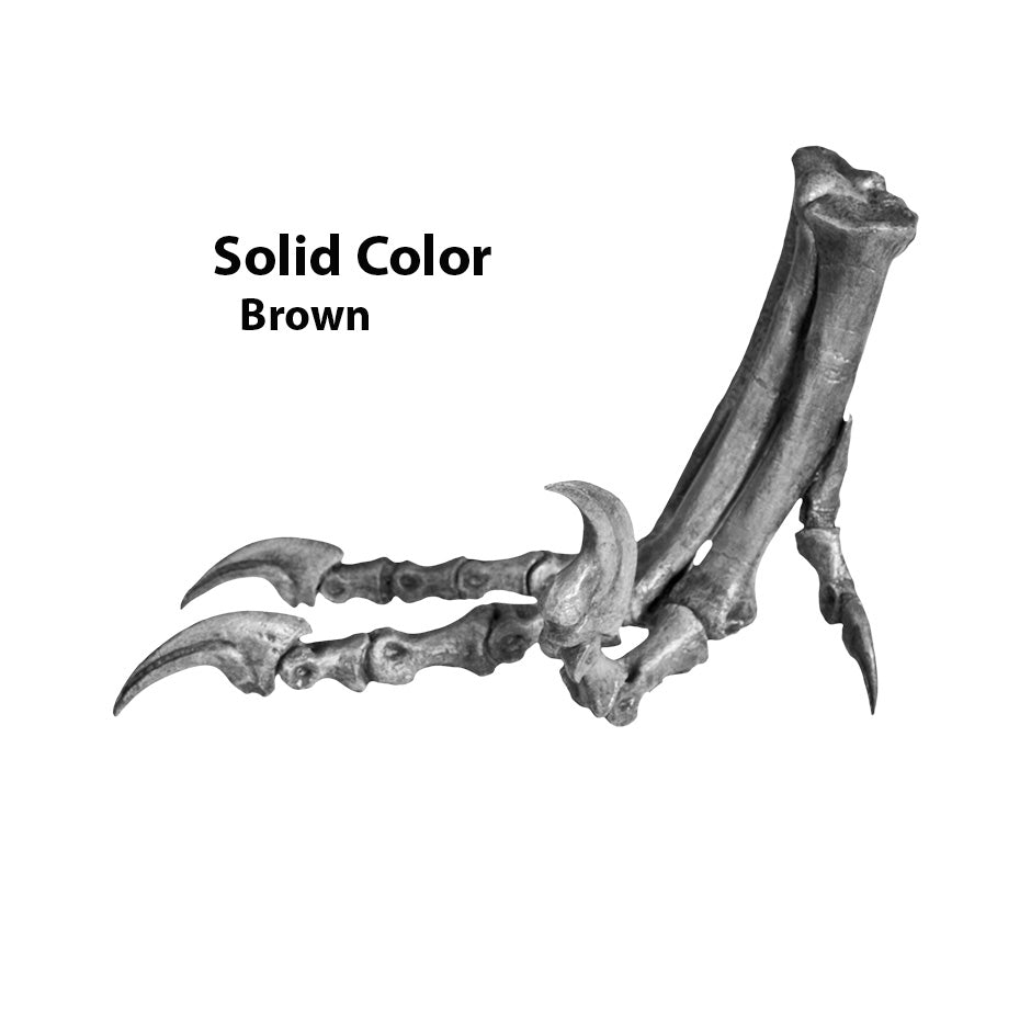 Deinonychus antirrhopus Right Foot - Solid Color Replica