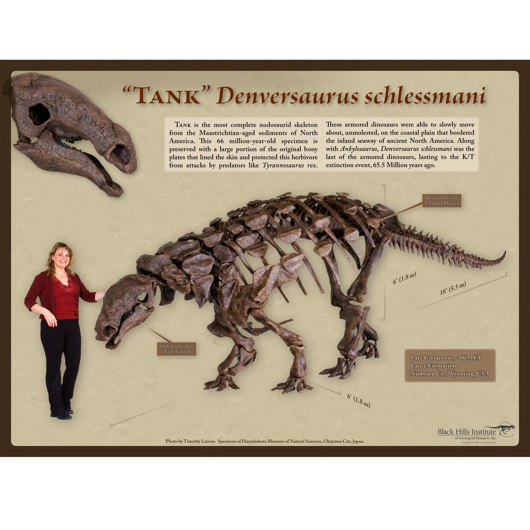 Denversaurus schlessmani TANK Poster