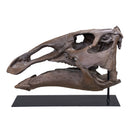 Edmontosaurus annectens Juvenile Skull - Display Replica