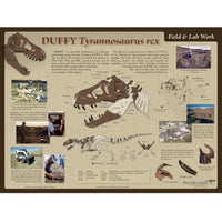 Tyrannosaurus rex DUFFY Skeleton  - Field & Lab Poster