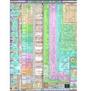 A Correlated History of Earth Poster