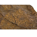 Edmontosaurus annectens BOGGY LIPS Skin Impression - Display Replica