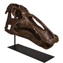 Edmontosaurus annectens Adult Skull - Display Replica
