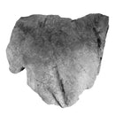 Edmontosaurus Large Skin Impression - Solid Color Replica