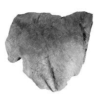 Edmontosaurus Large Skin Impression - Solid Color Replica