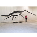 Elasmosaurus sp. PUNTLEDGE RIVER Skeleton - Display Replica