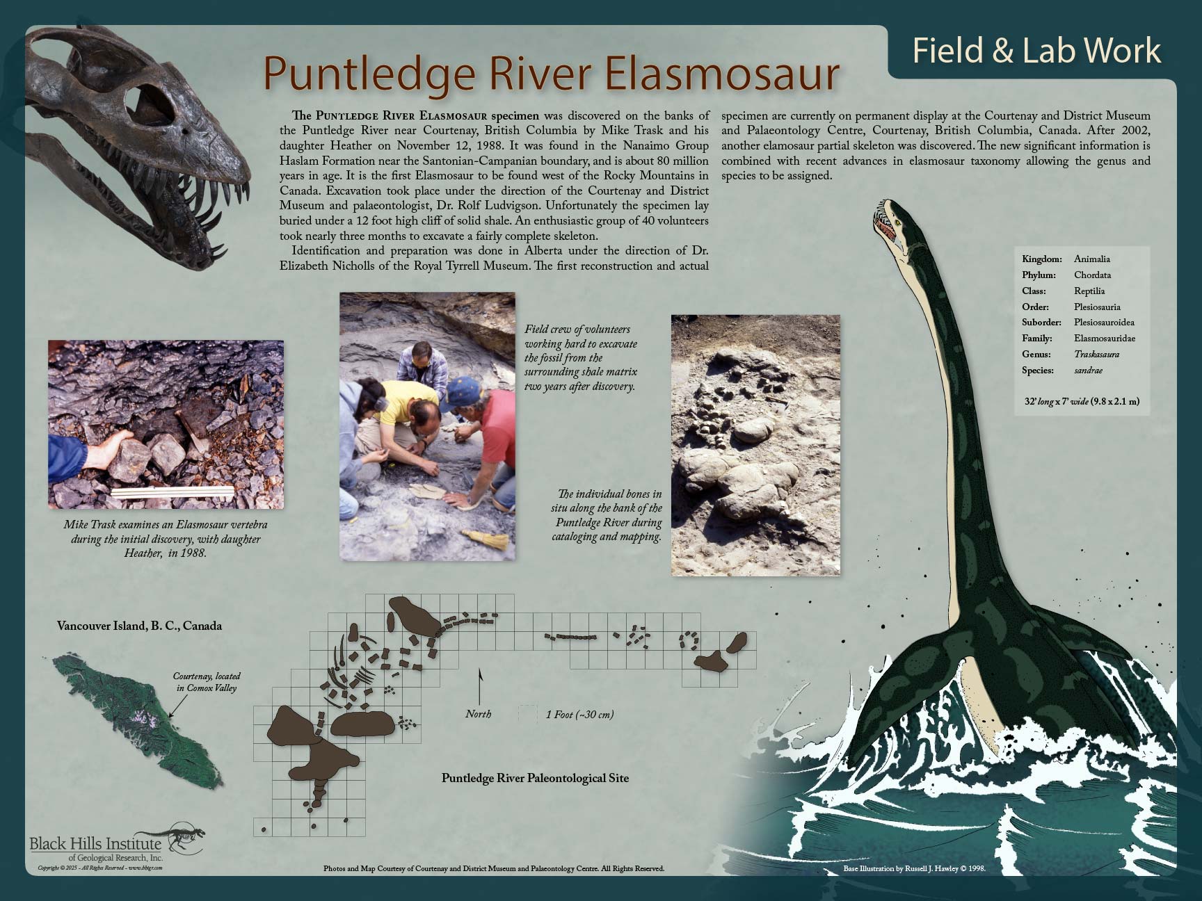 Traskasaura sundrae PUNTLEDGE RIVER - Field & Lab Poster