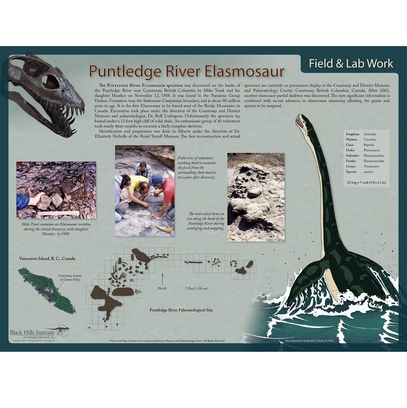 Traskasaura sundrae PUNTLEDGE RIVER - Field & Lab Poster