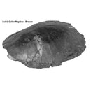 Eubaena sp. - Solid Color Replica