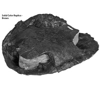 Eubaena sp. - Solid Color Replica