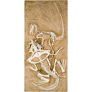 Velociraptor vs. Protoceratops - 'Fighting Dinosaurs' - Display Replica