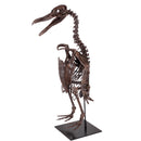 Paleospheniscus sp. Skeleton - Display Replica