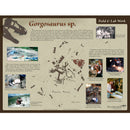 Gorgosaurus sp. Skeleton - Field & Lab Poster
