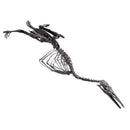 Hesperornis gracilis Skeleton - Display Replica