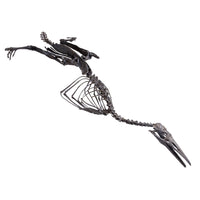 Hesperornis gracilis Skeleton - Display Replica